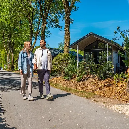 Modern Near De Veluwe National Park בקתה *