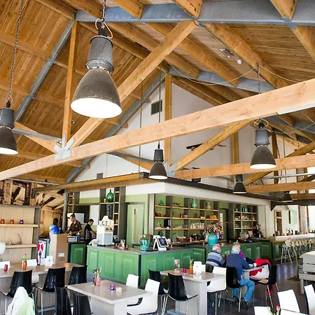 Modern Near De Veluwe National Park בקתה אוטרלו