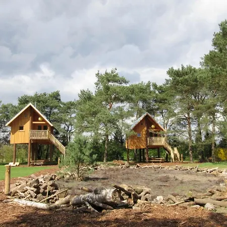 Modern Near De Veluwe National Park